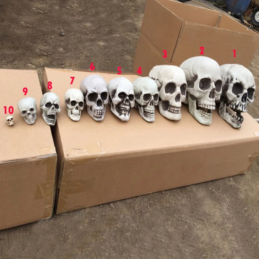 1Pcs Plastic Skull Head Figurine – Artificial Scary Bone Skeleton Decorative Sculpture